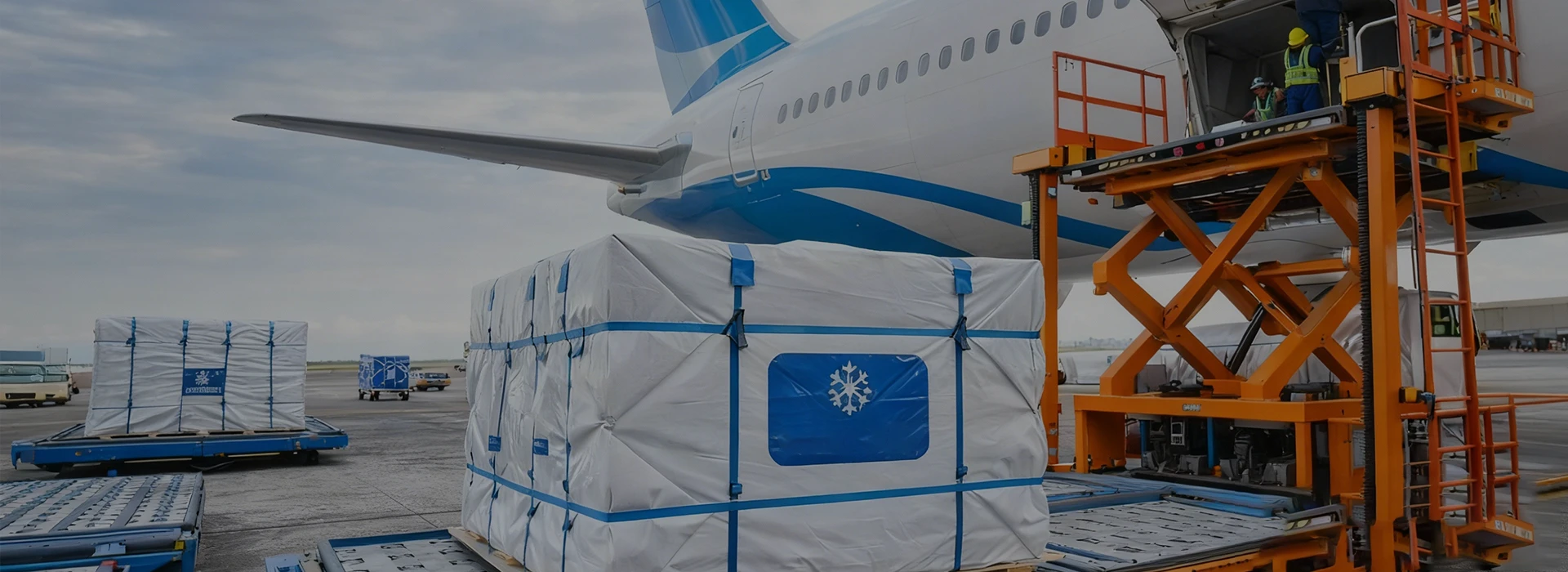 Time-sensitive perishable logistics - Fast-track air freight and refrigerated trucking for global fresh supply chains by BSI Global Logistics.