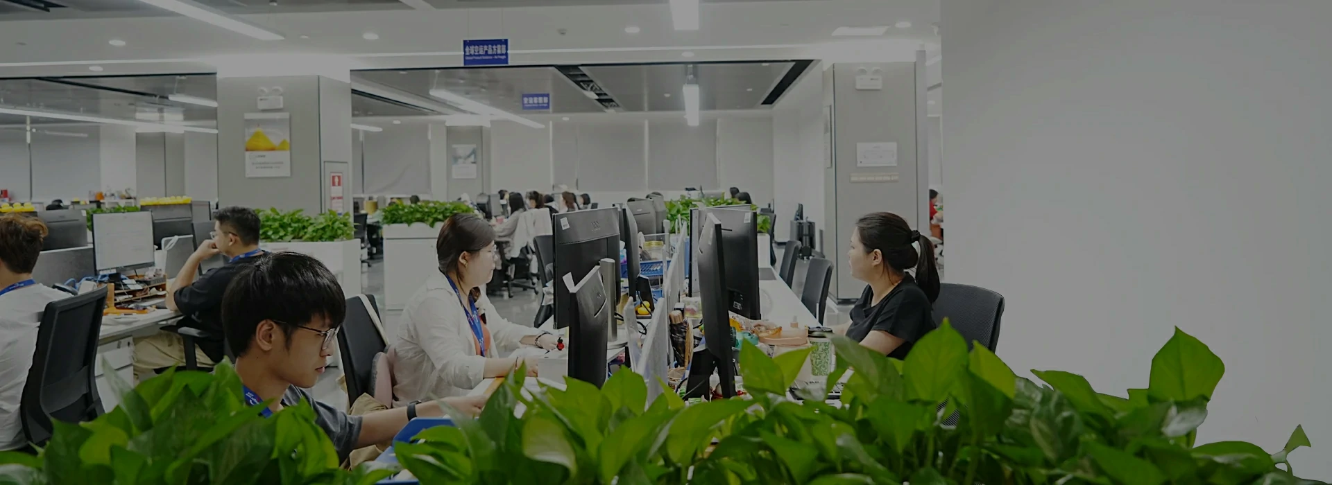 The professional logistics team at BSI Global Logistics - Committed to excellence in global freight forwarding and customer-centric service.