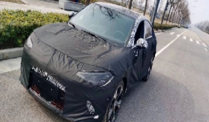 New Energy Vehicle Export Logistics Case Study: Container Shipping Solution by BSI Global Logistics