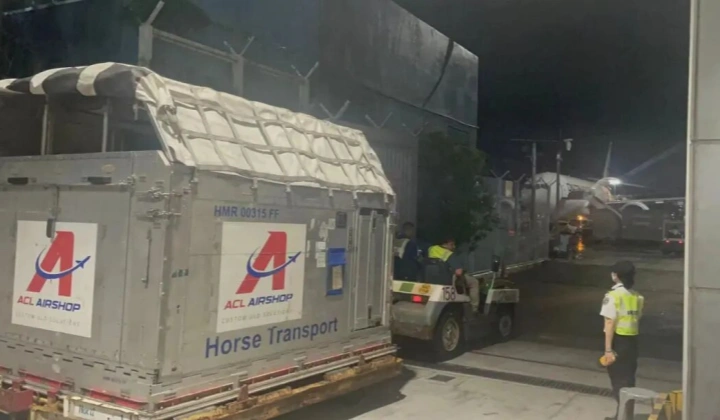 Horse Air Transport from Hong Kong to Paris