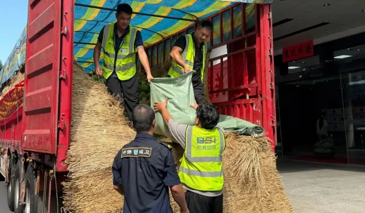 BSI colleagues unloaded hope from the truck.