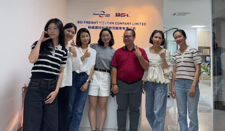 About BSI Vietnam : Your Trusted Logistics Partner in Vietnam