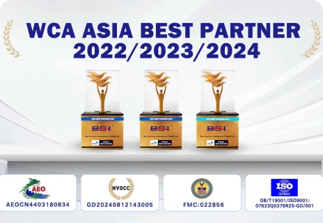 BSI Secures WCA's "Best Partner in Asia" Award for the Third Consecutive Year.