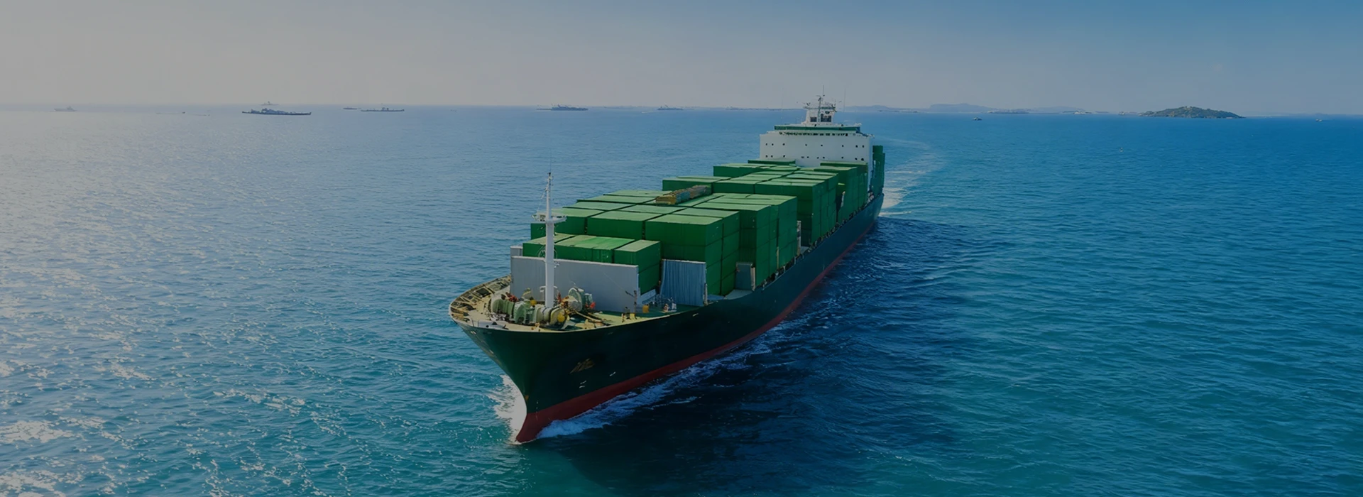 Sustainable sea freight services - Eco-friendly ocean cargo solutions and carbon footprint reduction by BSI Global Logistics.
